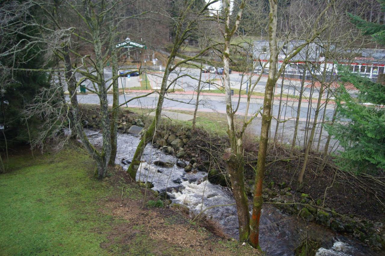 Wurmberg-Huette Appartement Braunlage Buitenkant foto